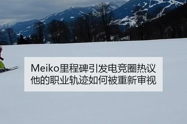 Meiko里程碑引发电竞圈热议 他的职业轨迹如何被重新审视